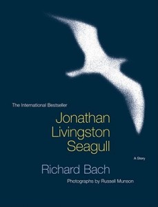 Jonathan Livingstone Seagull Image